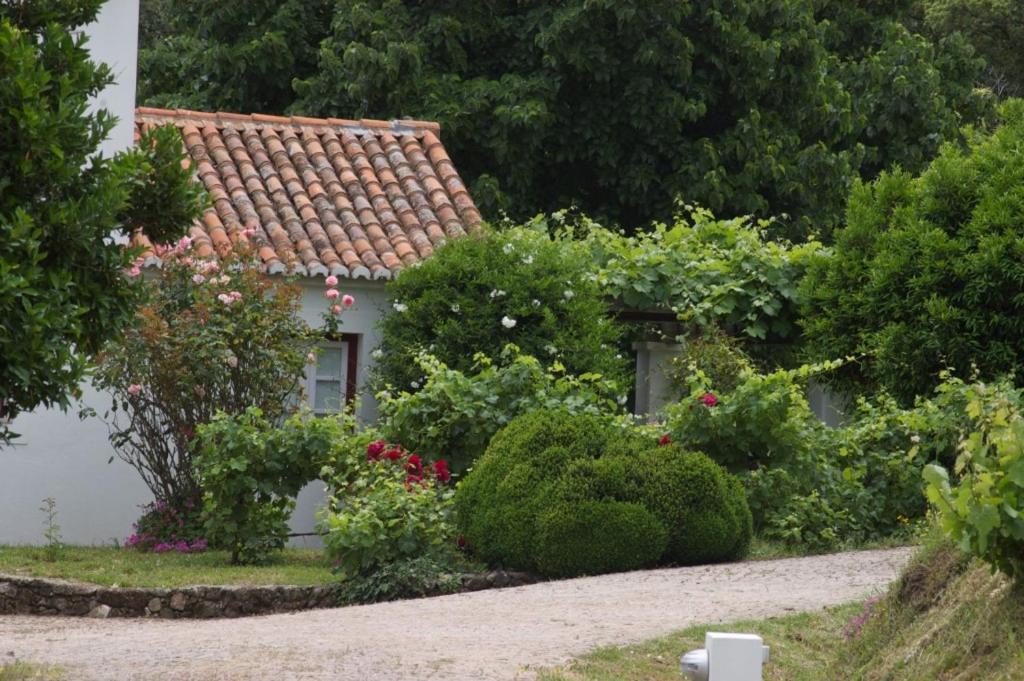 Quinta Da Saimeira Marvão Zewnętrze zdjęcie