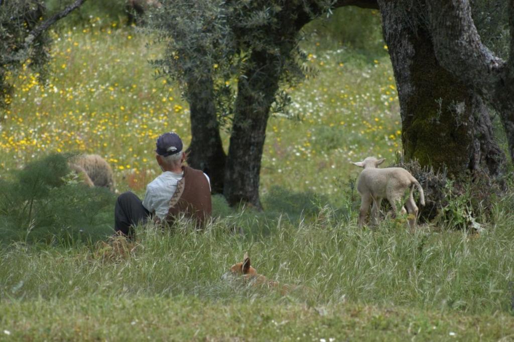 Quinta Da Saimeira Marvão Zewnętrze zdjęcie